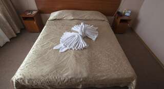 Гостиница  Байкал Листвянка Стандартный двухместный номер с 1 кроватью или 2 отдельными кроватями-8